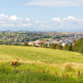 Exploring the Cultural Centers of Arapahoe County, Colorado