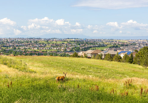 Unlocking the Economic Potential of Arapahoe County, Colorado